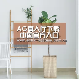 产品名称六(图1)