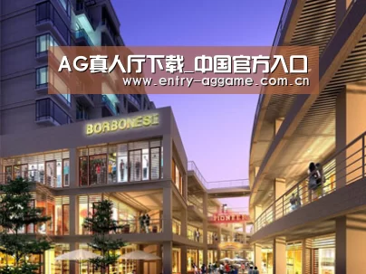 展示一(图1)