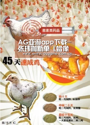 AG博彩