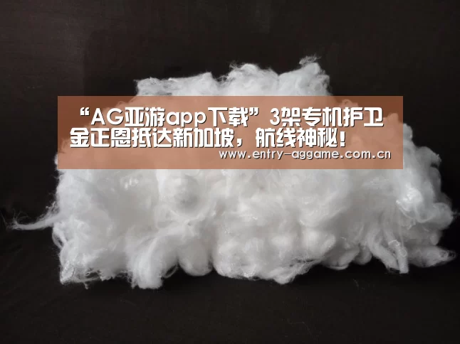 “AG亚游app下载”3架专机护卫金正恩抵达新加坡,航线神秘!(图1) AG亚游app下载