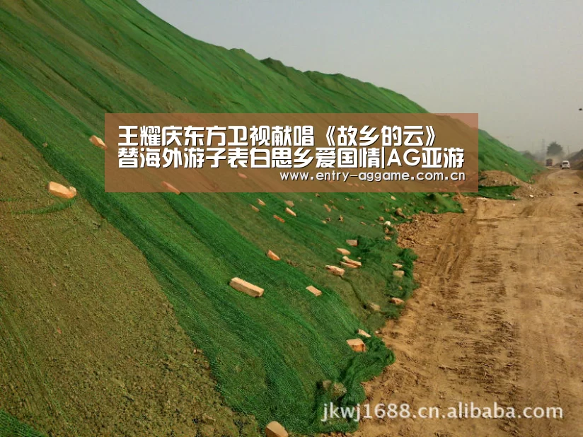 王耀庆东方卫视献唱《故乡的云》替海外游子表白思乡爱国情|AG亚游app下载(图1) AG亚游app下载