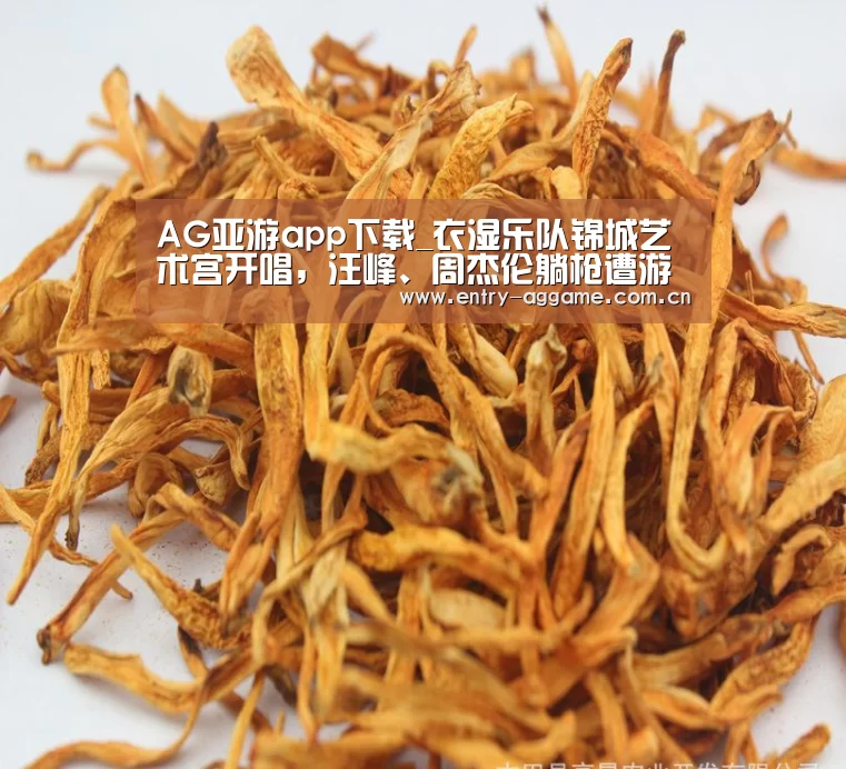 AG亚游app下载_衣湿乐队锦城艺术宫开唱,汪峰、周杰伦躺枪遭游淼调侃(图3) AG官方